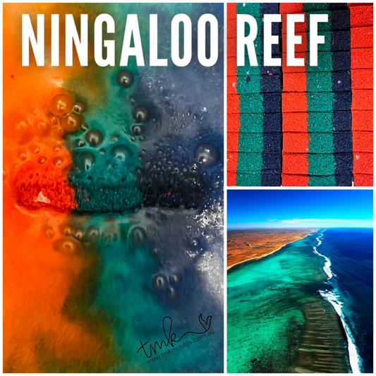 20x Embed Rods Ningaloo Reef Colours